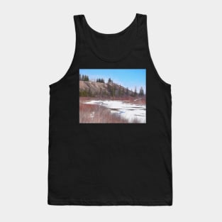 Illustration at Weaselhead Tank Top